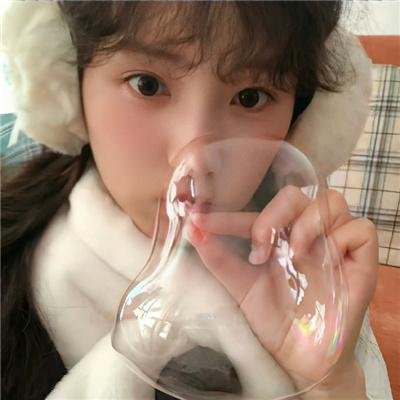 动画综艺